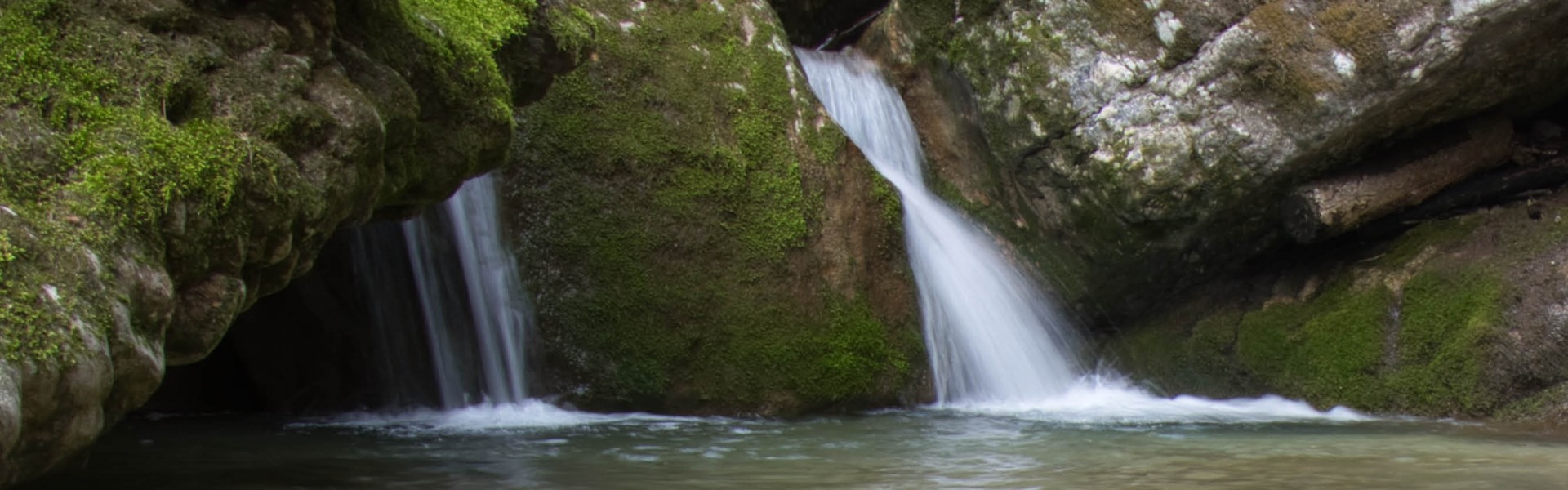 Dall'Acqua la Vita: l'importanza dell'acqua per ogni forma vivente