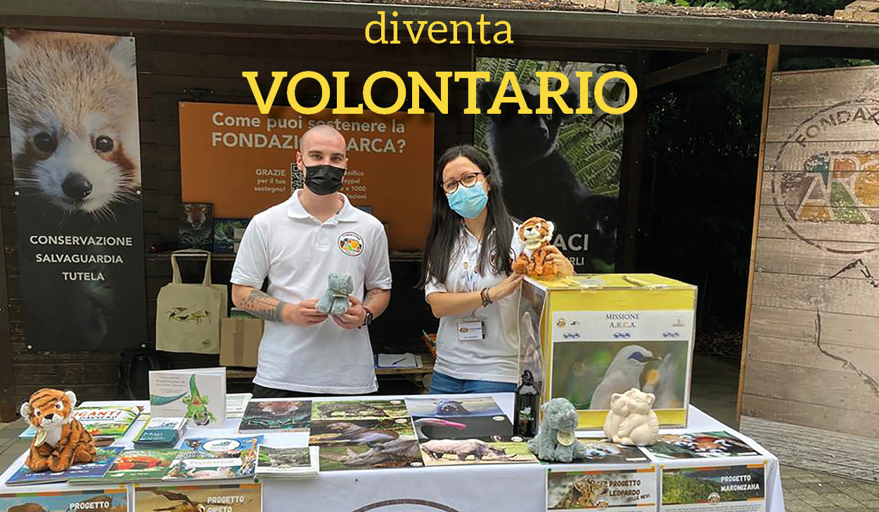 Diventa volontario