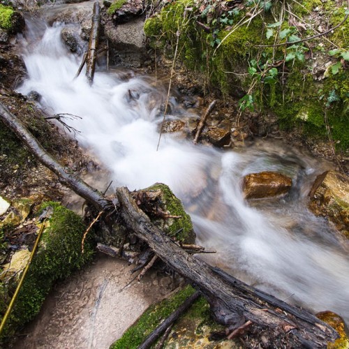 Dall'Acqua la Vita: l'importanza dell'acqua per ogni forma vivente