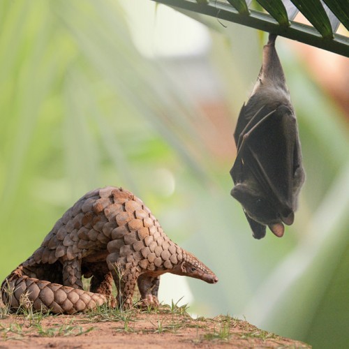 inSOStenibile per la NATURA